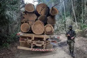 26164198377_be02e6fdf2_c-768x512