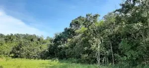 WhatsApp-Image-2022-04-22-at-14.41.19