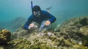 20210614_coralizar_project_pernambuco___copyright_luiza_sampaio_wwf_brazil___44__1_120548