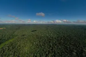 51419510918_5c6977280e_c-768x512