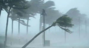 Captura de tela 2022-05-23 112114