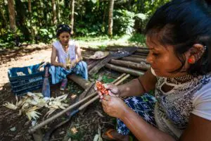 guarani-conseguiram-recuperar-terras-degradadas
