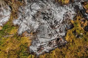 desmatamento-na-amazonia