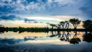 PÓLOS-DIGITAIS-E-DE-BIOECONOMIA-SERÃO-FOCO-EXPO-AMAZÔNIA-MANAUS