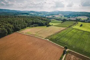 Mercado-de-commodities-agrícolas-é-foco-de-novo-relatório-da-FAO