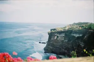 crise-na-biodiversidade-relacionada-com-valorizacao-da-natureza