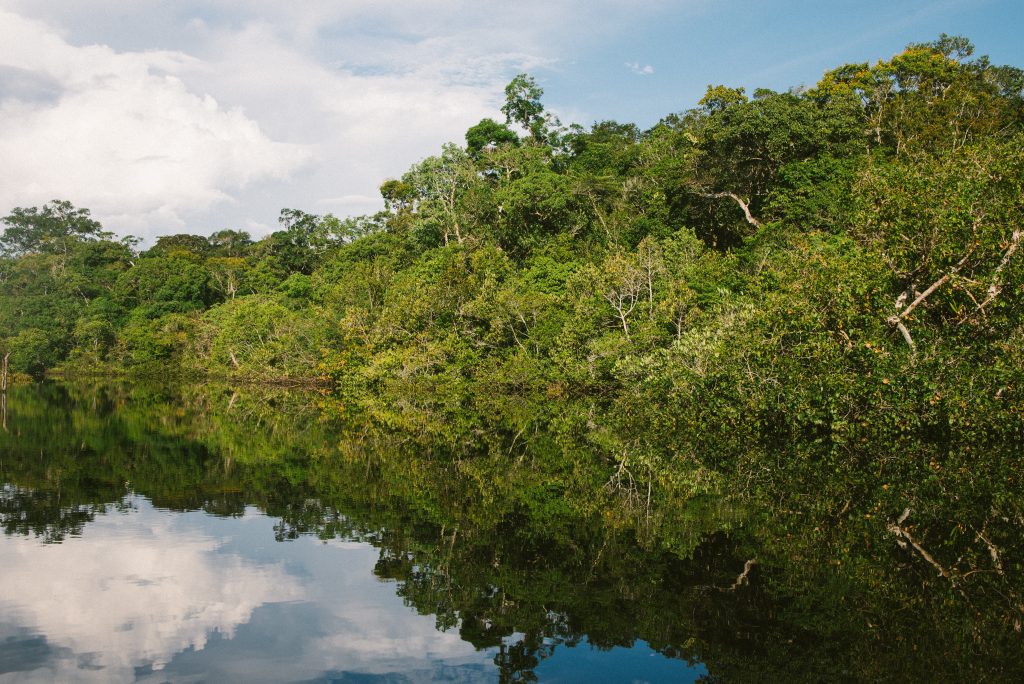 bioeconomia amazônia