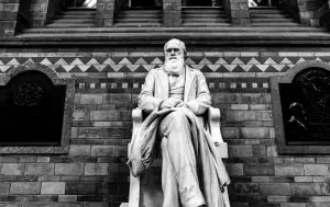 conversa-sobre-teoria-darwiniana