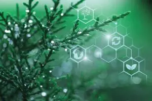 mecanismos-naturais-de-controle-de-insetos