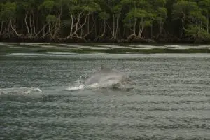 termeletricas-flutuantes-na-baia-de-sepetiba