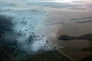 desmatamento-na-amazônia