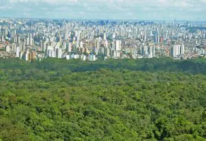 cinturão verde de são paulo