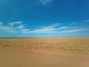 xingu-monocultura-soja