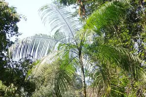 Foto-para-Conexao-1024-1