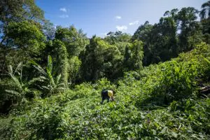 20220519_fellipeabreu_valedoribeira_126155-768x512