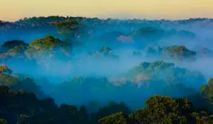 Reserva-Particular-do-Patrimônio-Natural-RPPN-Cristalino-localizada-em-Alta-Floresta-MT-Foto-João-Paulo-Krajewski-2