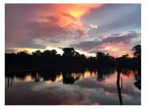 Nascer do Sol no Cerrado