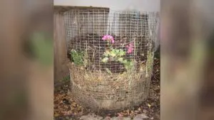 Compostagem em cilindro aerado