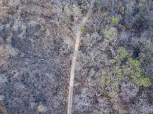 pantanal-projeto-noeleedi