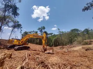 desmatamento-no-cerrado