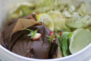 composteira-de-balde