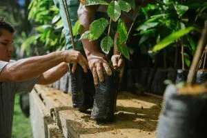 Ana-Lee-Acervo-Arapyaú-1024x683