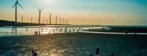 wind-turbines-coast