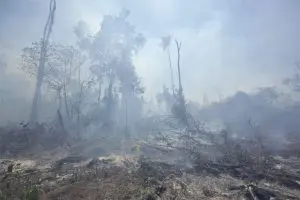 desmatamento-amazonia-queimada