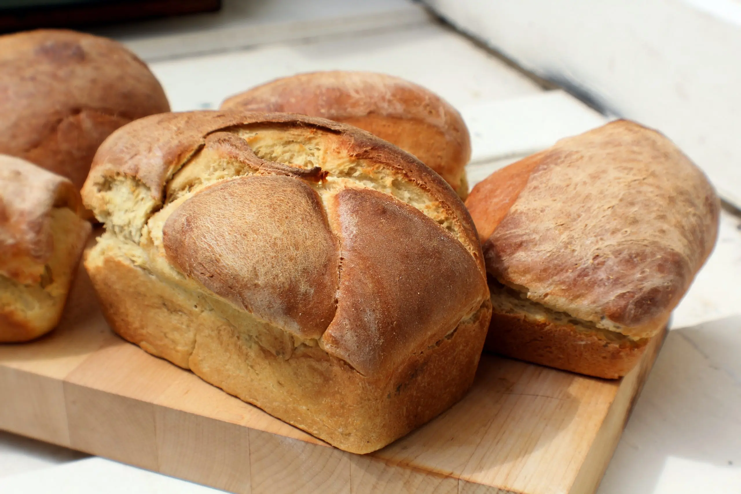 Aprenda a fazer bolo de milho verde vegano - eCycle