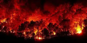 Design_sem_nome__5__2