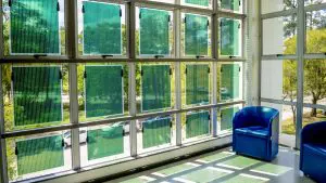 placas solares orgânicas