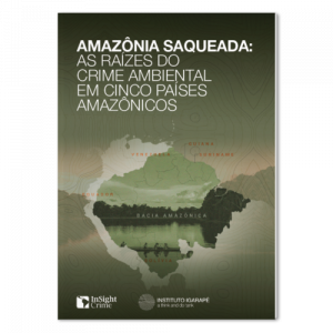 Mock-Igarape-Insight-crime-Regional-PT2-500x500