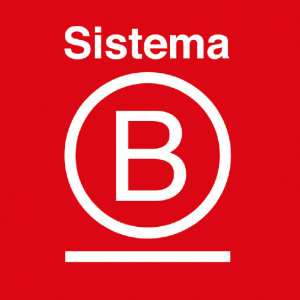sistema b