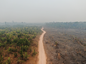 microsoftteams_image__40__122486