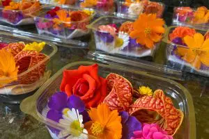 flores comestíveis PANC