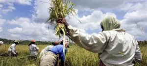 image1170x530cropped (2)