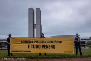 ativistas Greenpeace