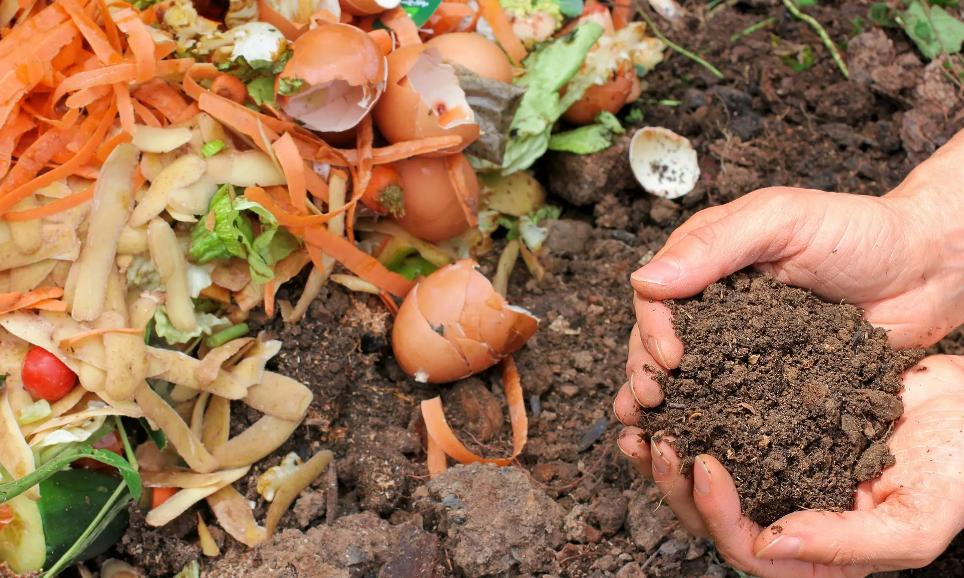 Comuna do Chile pratica lixo zero com resíduos vegetais - eCycle