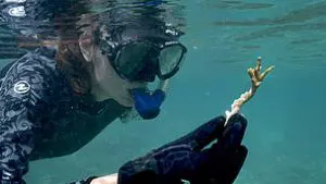 projeto_coralizar_12__2___1__123347