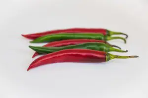 pimenta jalapeno