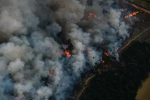 Fire Monitoring in the Amazon in Brazil in July, 2022Monitoramento de Desmatamento e Queimadas na Amazônia em 2022