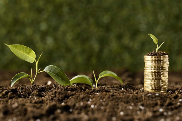 Bioeconomia: conceito e importância