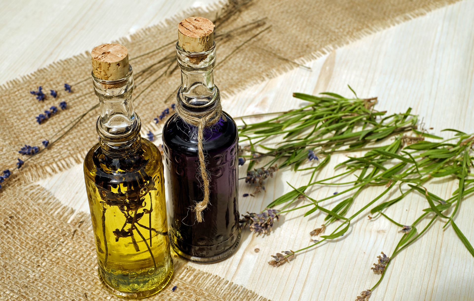 Aprenda como fazer óleo essencial de lavanda - eCycle