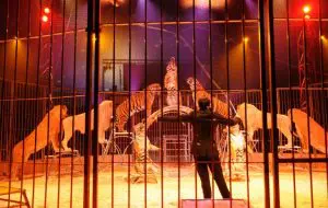 animais-circo-768x487
