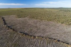 02072020___andre_dib_0154