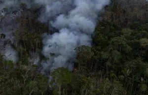 Amazônia-em-chamas-sobrevoo-fumaça-Victor-Moriyama-Amazônia-em-Chamas-e1682444305233