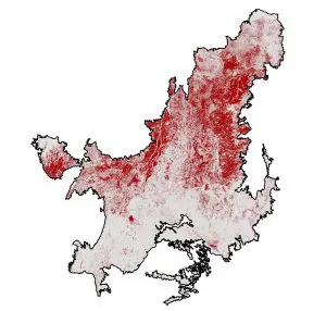 Cerrado-2022-acumulado