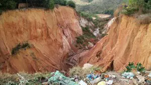 RPF-vocoroca-buriticupu-2023-04-site-1140