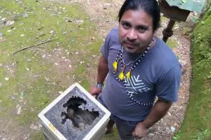 Cacique-Marcio-checa-uma-as-colmeias-de-abelhas-indigenas.-Lais-Modelli-768x512