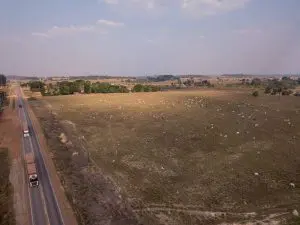 Dados-de-transporte-e-movimentação-de-rebanhos-poderia-ajudar-na-identificação-de-infratores-ambientais-diz-Ibama-Foto-Fernando-MartinhoRepórter-Brasil